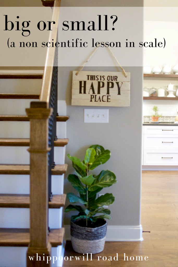 Big or small? A Non-Scientific Lesson in Scale