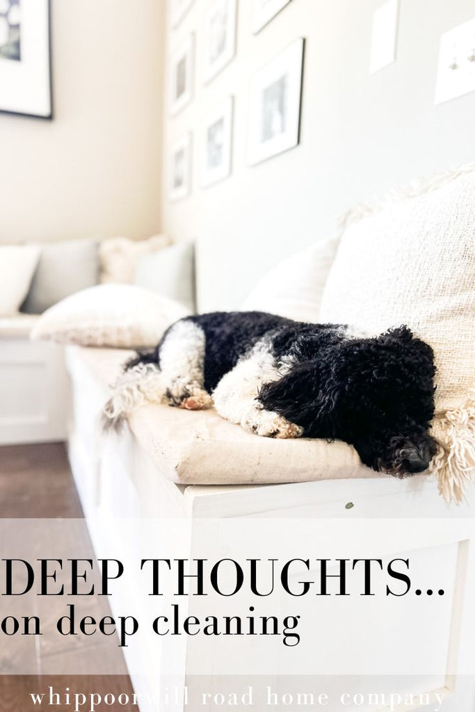 Deep Thoughts on Deep Cleaning