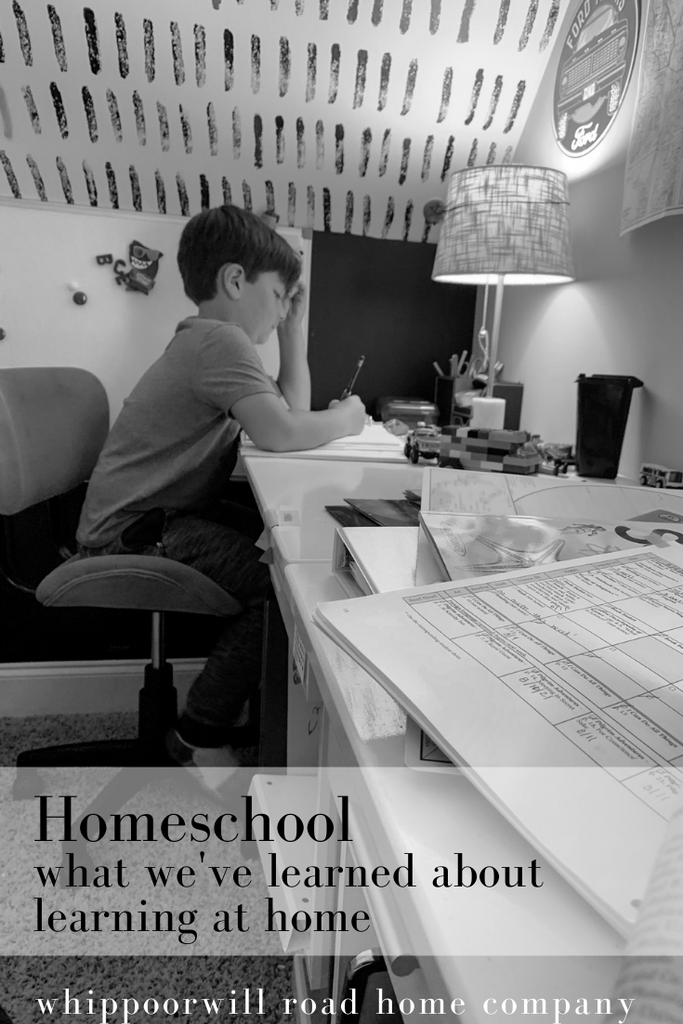 Homeschool... What we learned about learning at home