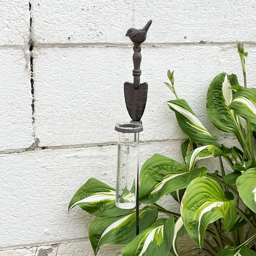 Bird Garden Rain Gauge Stake