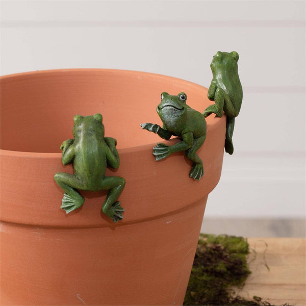 Frog Pot Hugger