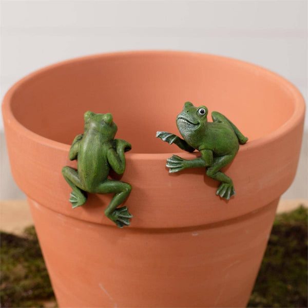 Frog Pot Hugger