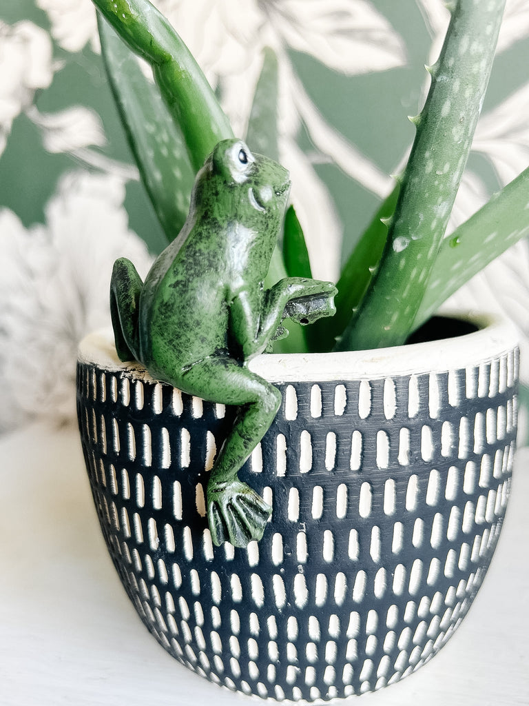 frog planter pots Frog Pot Hugger – Whippoorwill Road Home Company