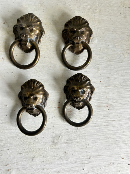 Lion Head Drawer Pull Rings