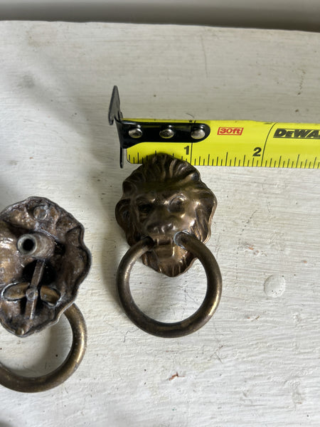 Lion Head Drawer Pull Rings