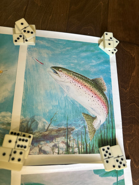 Yakima Bait Co Vintage Fish Prints