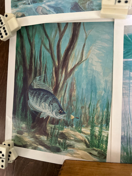 Yakima Bait Co Vintage Fish Prints
