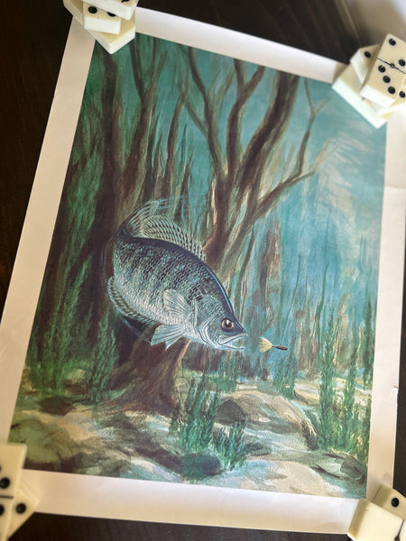 Yakima Bait Co Vintage Fish Prints