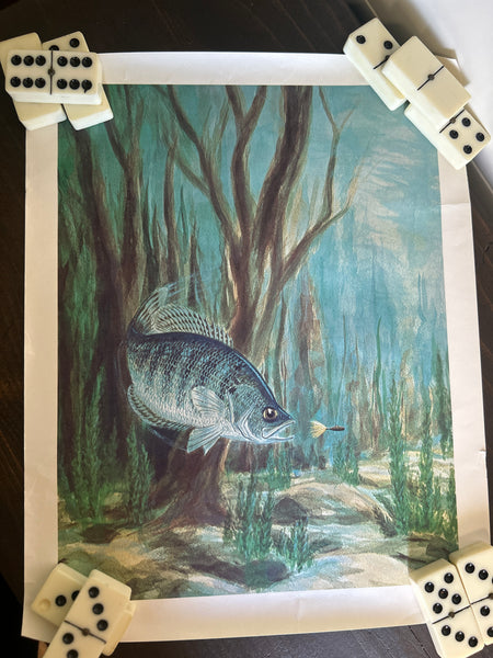 Yakima Bait Co Vintage Fish Prints