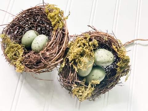 Birds Nest